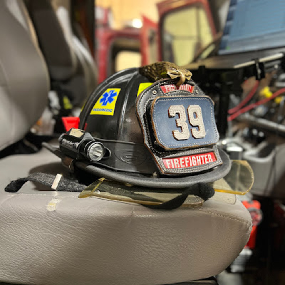 Meet your Posher, Lucas